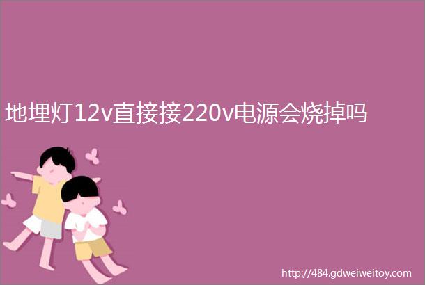 地埋灯12v直接接220v电源会烧掉吗